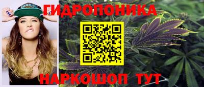 ALPHA PVP Кунгур