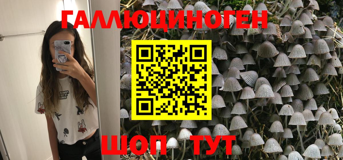 Галлюциногенные грибы MAGIC MUSHROOMS  дарнет шоп  Ипатово  Вход с VPN 