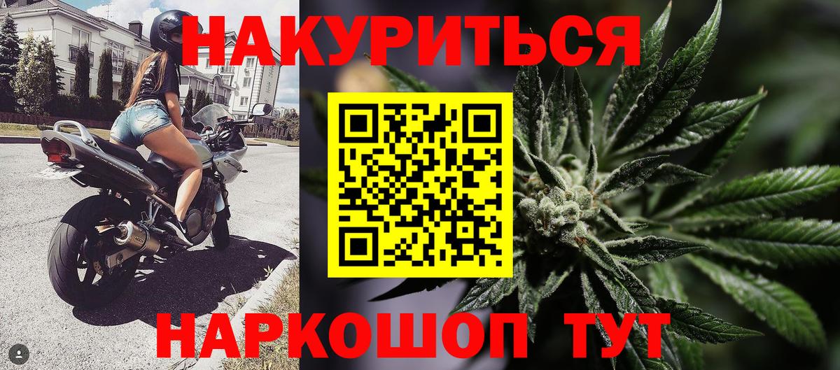 Конопля гибрид Ипатово